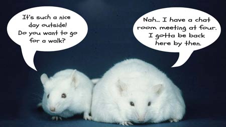 obese-mice